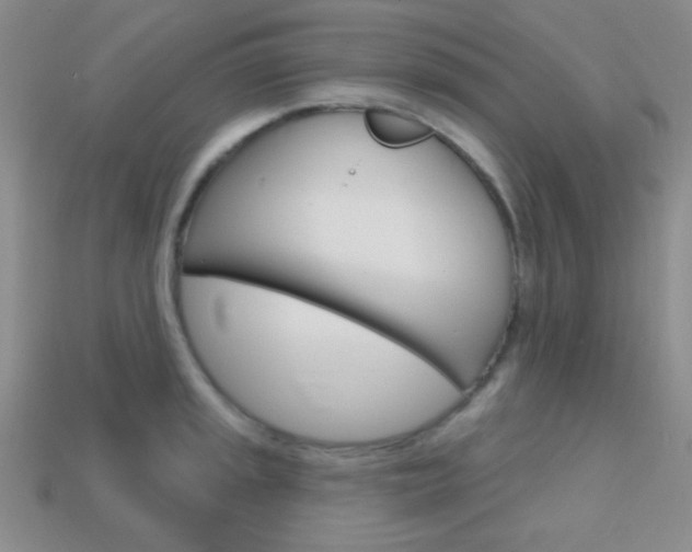 X0000114201045200910091044