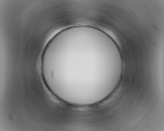 X0000114201047200910091044