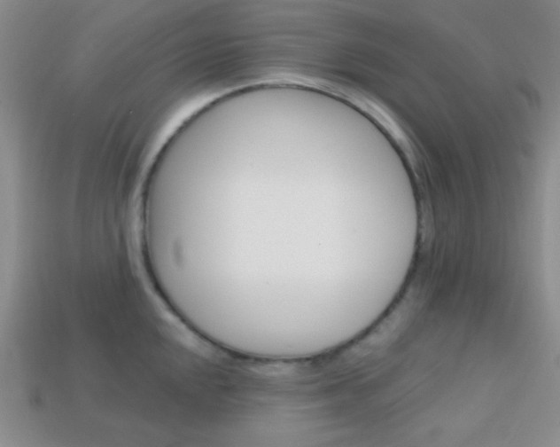X0000114201048200910091044