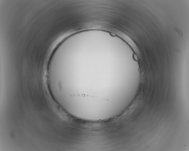 X0000114201051200910091044
