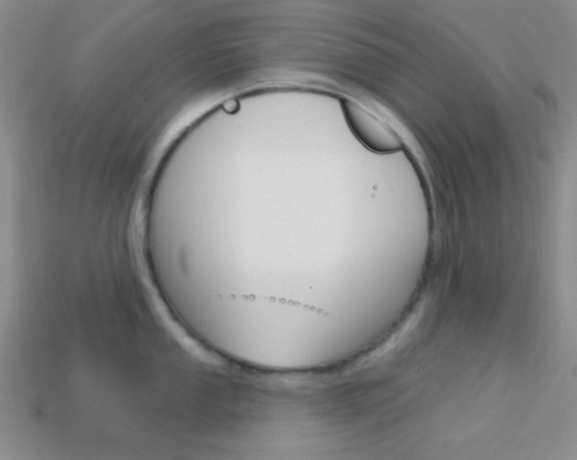 X0000114201053200910091044