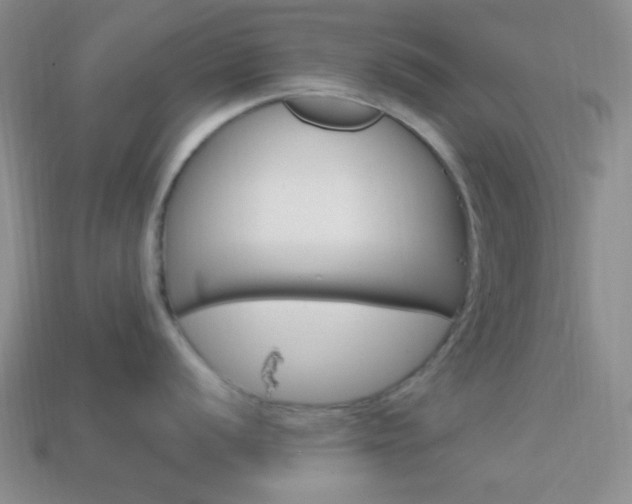 X0000114201056200910091045