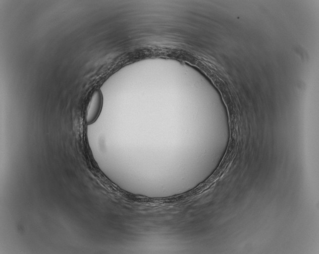 X0000114201061200910091044