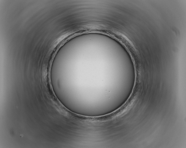 X0000114201065200910091044