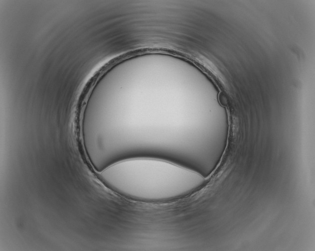X0000114201068200910091044