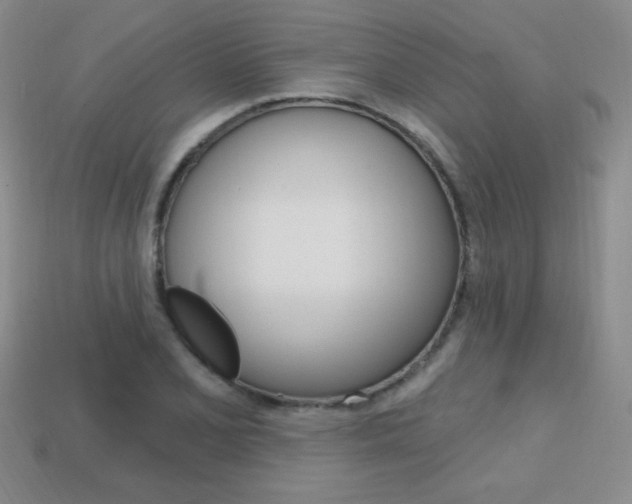 X0000114201077200910091043