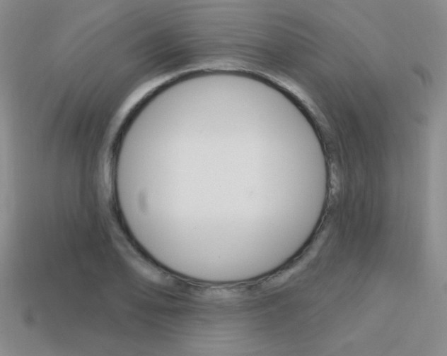 X0000114201078200910091043