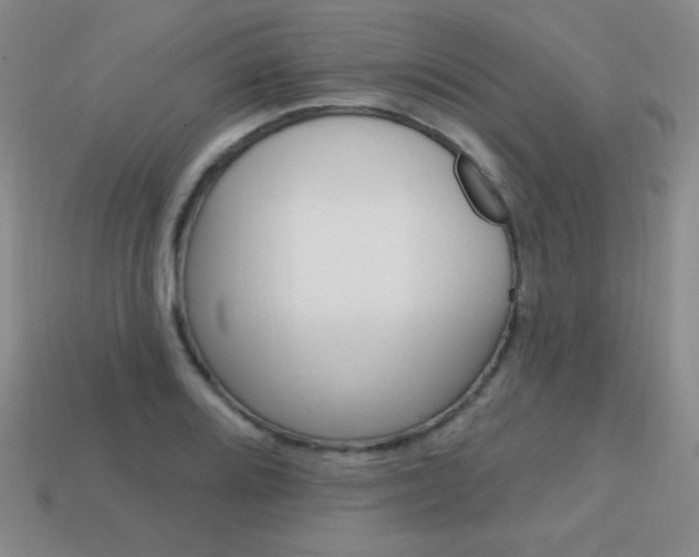 X0000114201080200910091043