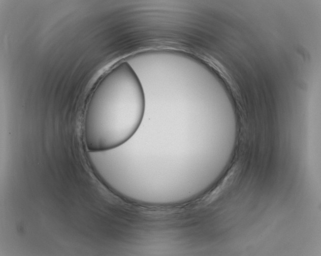 X0000114201081200910091043