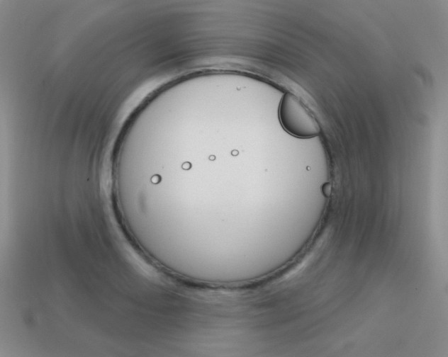 X0000114201082200910091043
