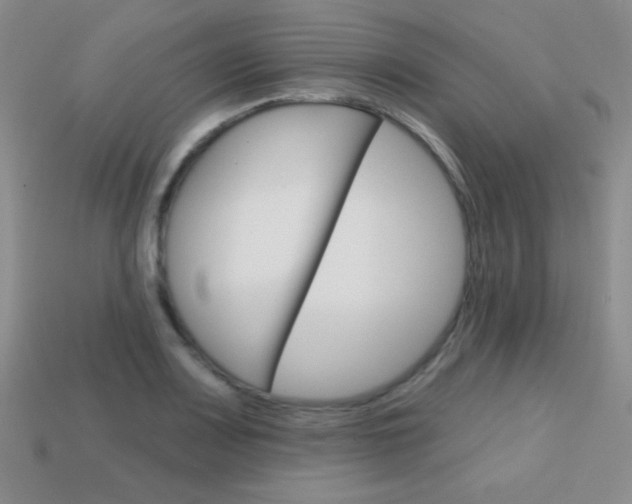 X0000114201083200910091043