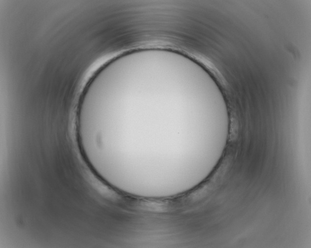 X0000114201086200910091043