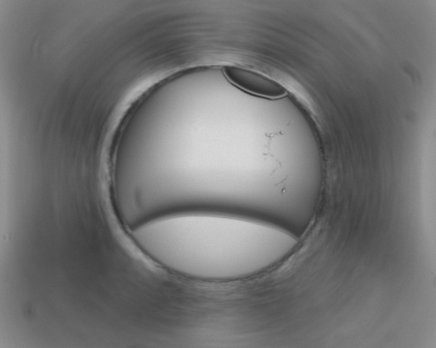 X0000114201088200910091043