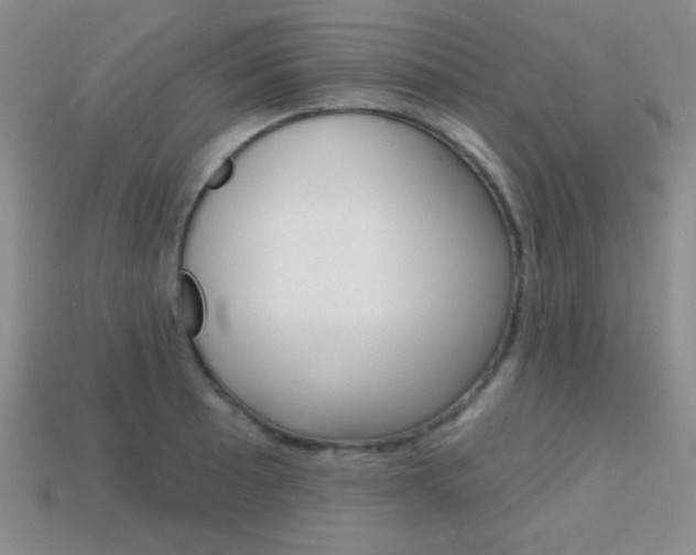 X0000114201089200910091043