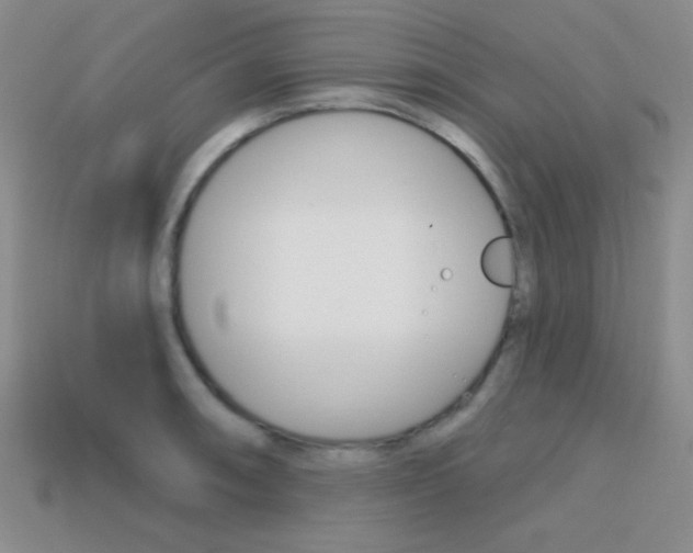 X0000114201090200910091043