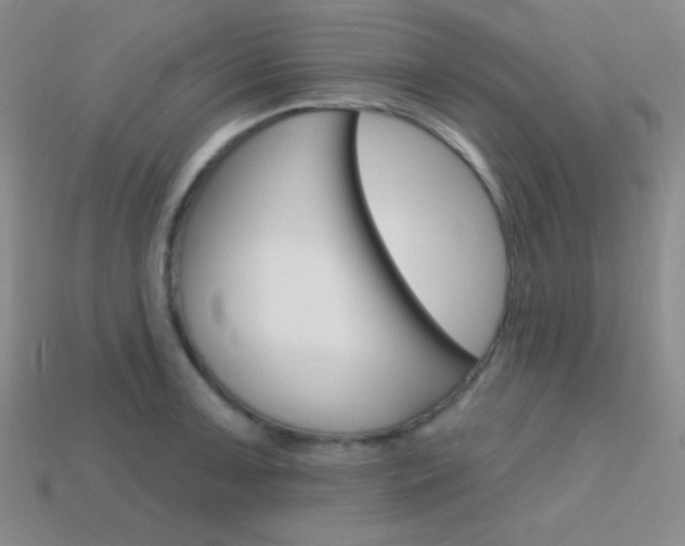 X0000114201091200910091043