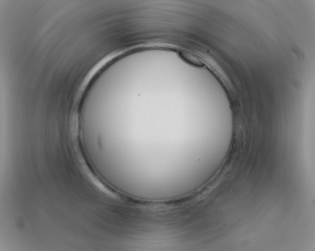 X0000114201092200910091043