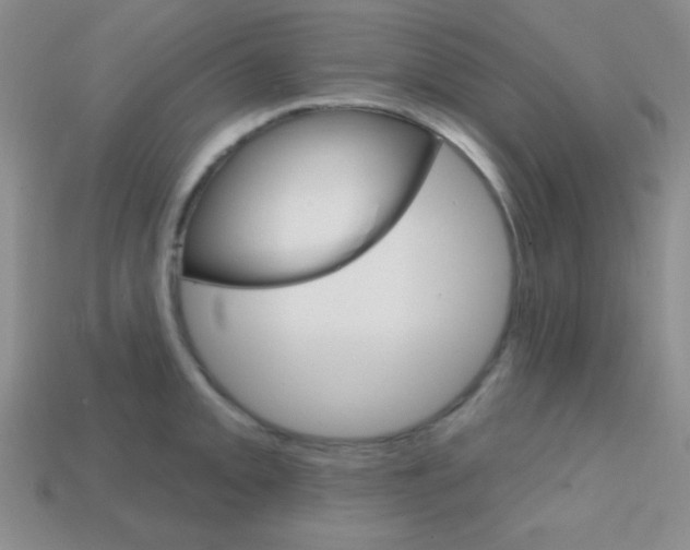 X0000114201093200910091043