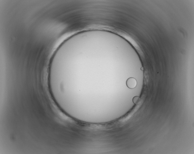 X0000114201094200910091043