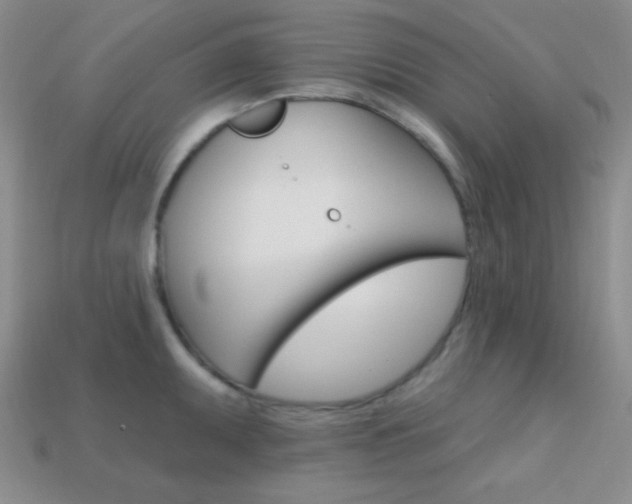 X0000114201095200910091043