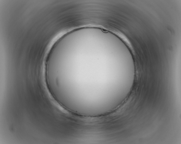 X0000114201096200910091043