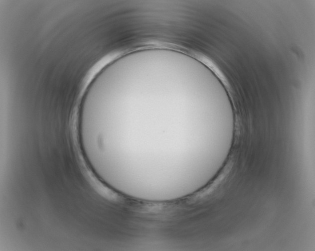 X0000114201098200910091043