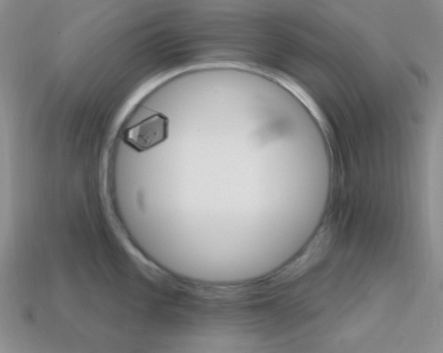 X0000114201101200910091043