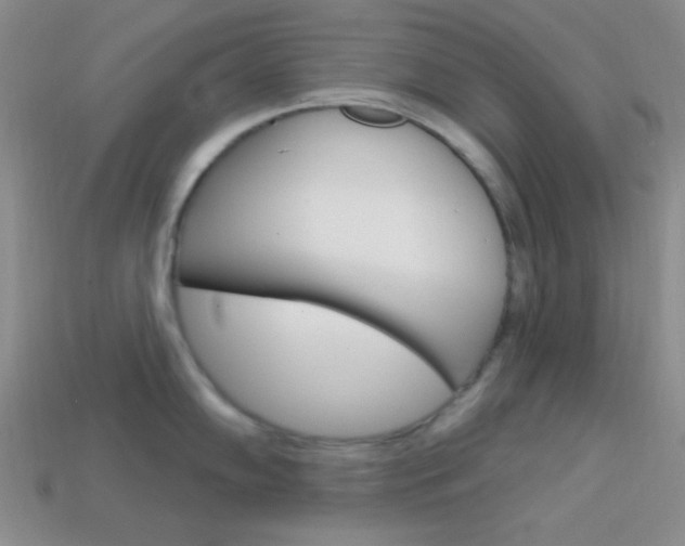 X0000114201102200910091043