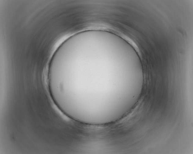 X0000114201103200910091043