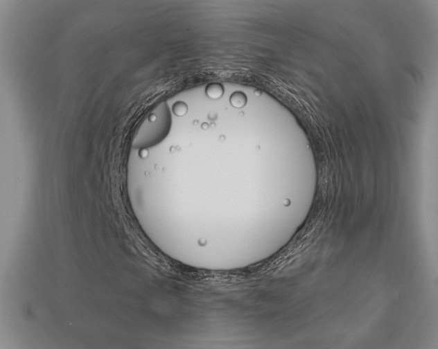 X0000114201105200910091043