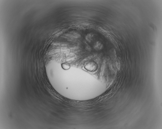 X0000114201106200910091043