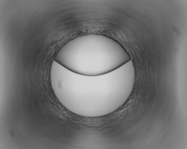 X0000114201109200910091043