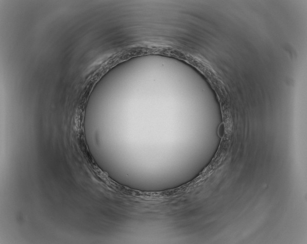 X0000114201110200910091043