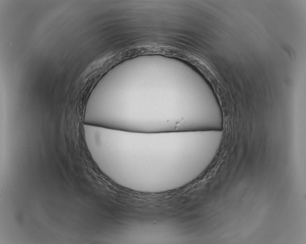 X0000114201111200910091043