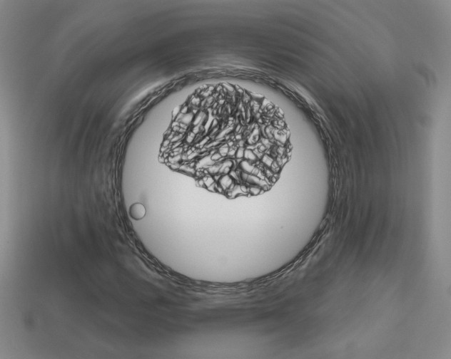 X0000114201112200910091043
