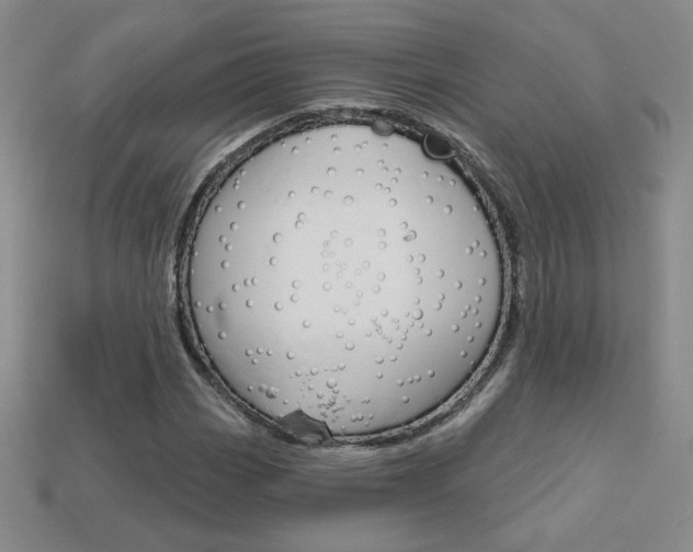 X0000114201113200910091043