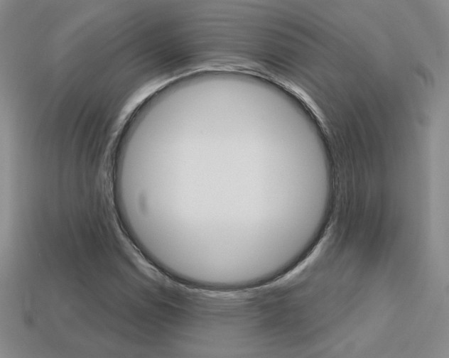 X0000114201114200910091043
