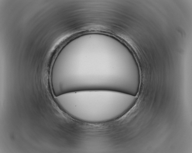 X0000114201115200910091043