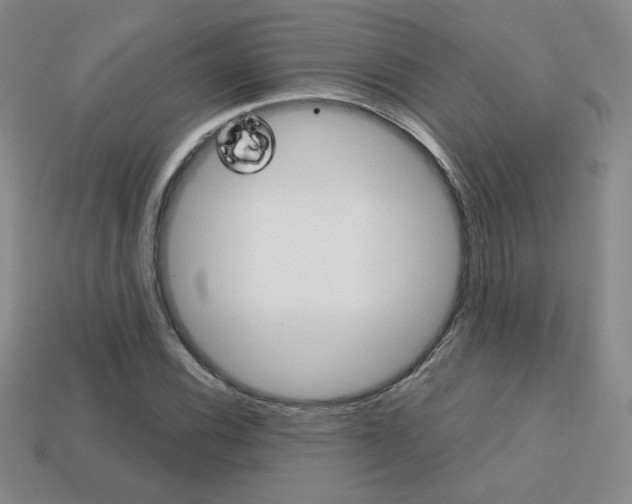 X0000114201116200910091043