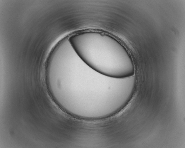 X0000114201118200910091043