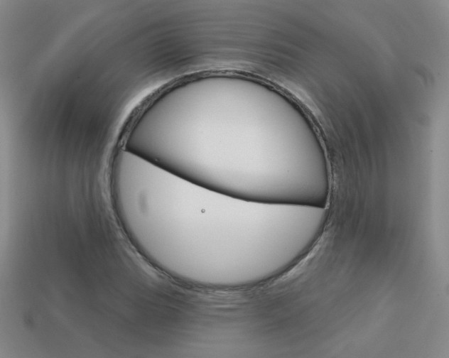 X0000114201119200910091043