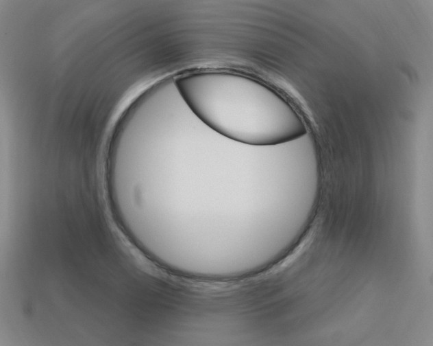 X0000114201122200910091043