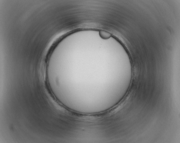 X0000114201123200910091043