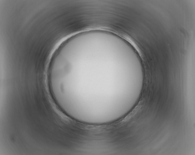 X0000114201124200910091043