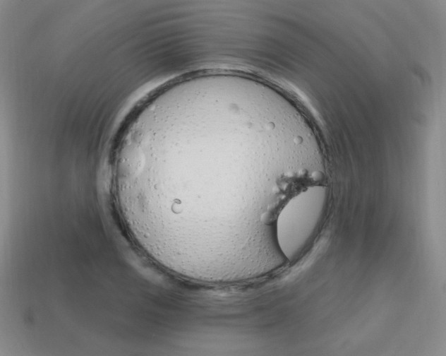 X0000114201125200910091043