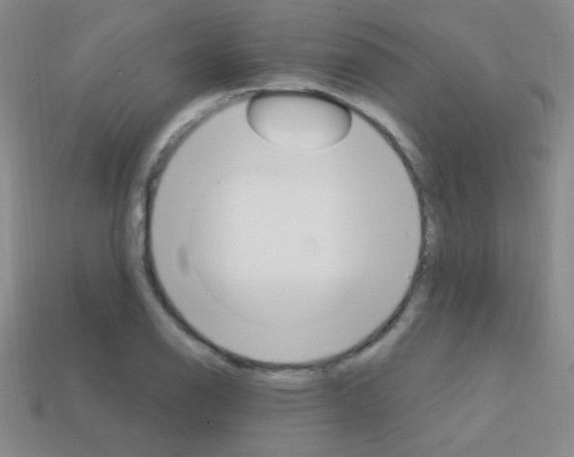 X0000114201126200910091043