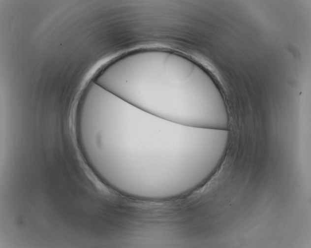 X0000114201127200910091043