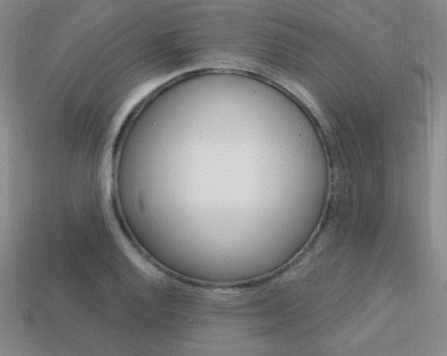 X0000114201128200910091043