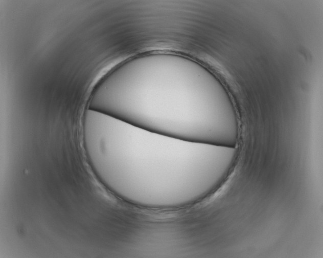 X0000114201129200910091043