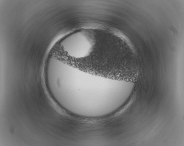 X0000114201130200910091043